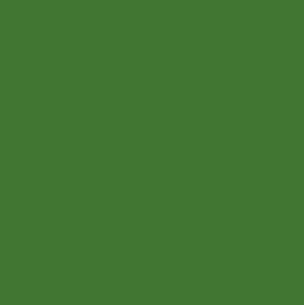 Fern Green (364C) - 4.0mm 50 Dtex - 100g