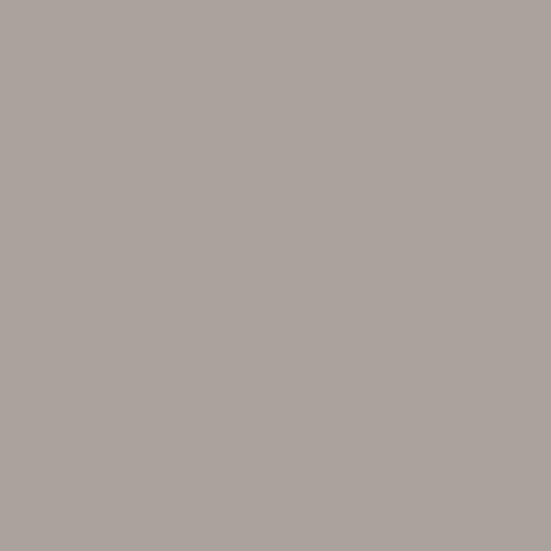 Pantone Warm Grey 5U