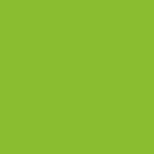 Light Green (376C) - 6.0mm 44 Dtex