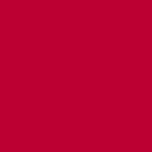 Light Red (200C) - 1.0mm 3.3 Dtex